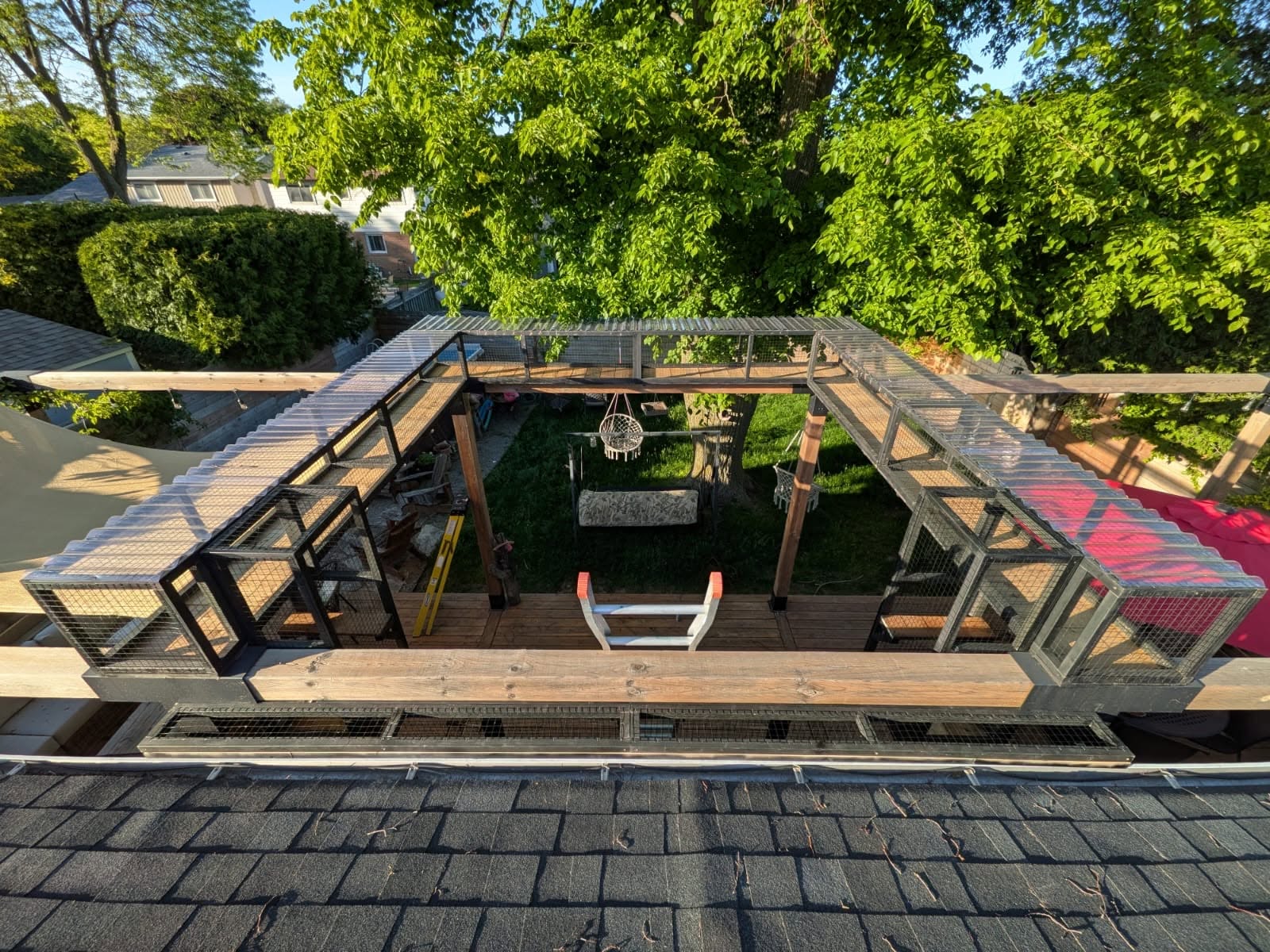 Mesh cat runway looping around the top of a backyard pergola, seen from the roof