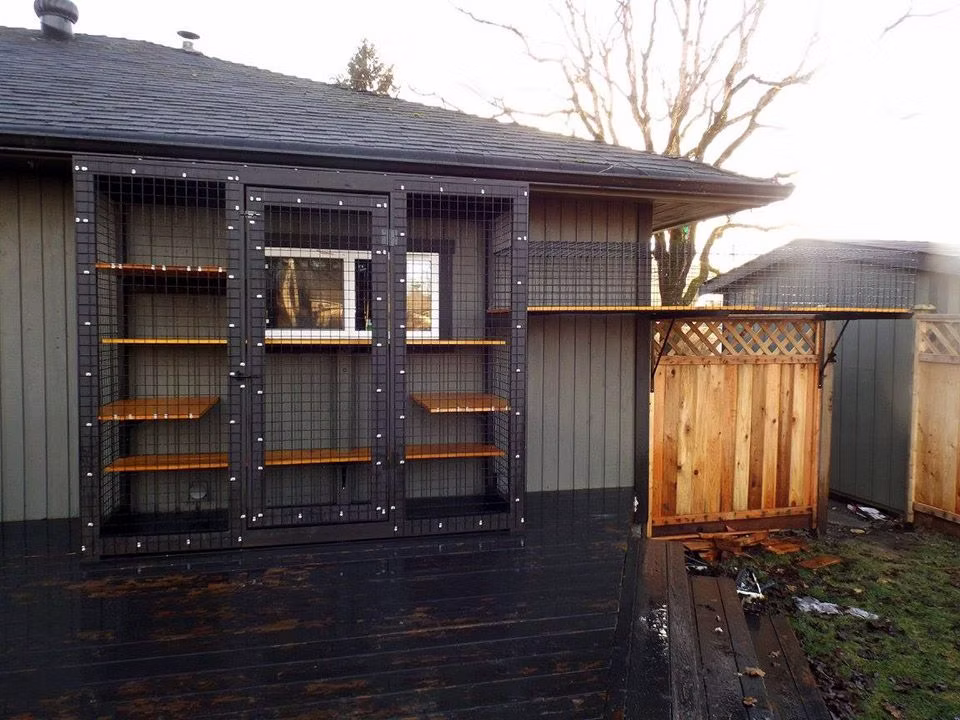 Catio built flat against a dark-sided house around a window, lined with cedar shelves