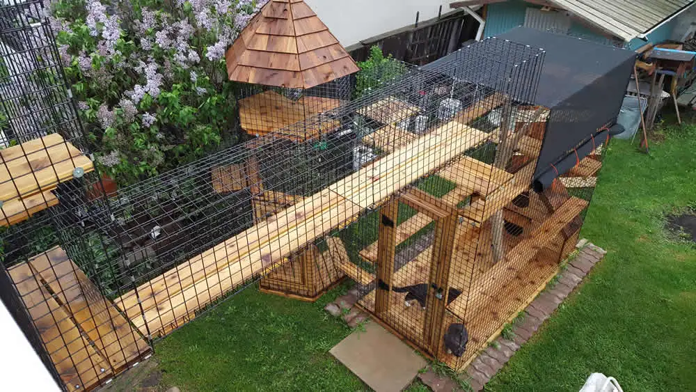 Backyard catio on the lawn with a cedar ramp, a peaked lookout and several levels